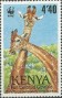 动物:非洲:肯尼亚:ke198903.jpg