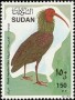 动物:非洲:苏丹:sd199005.jpg