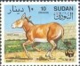 动物:非洲:苏丹:sd199403.jpg