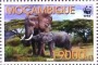 动物:非洲:莫桑比克:mz200203.jpg