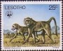 动物:非洲:莱索托:ls197705.jpg
