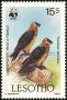 动物:非洲:莱索托:ls198602.jpg