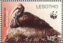 动物:非洲:莱索托:ls200404.jpg