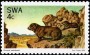 动物:非洲:西南非洲:swa197601.jpg