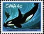 动物:非洲:西南非洲:swa198001.jpg