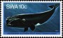 动物:非洲:西南非洲:swa198003.jpg