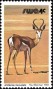 动物:非洲:西南非洲:swa198014.jpg