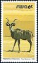 动物:非洲:西南非洲:swa198016.jpg