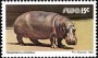 动物:非洲:西南非洲:swa198021.jpg