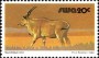 动物:非洲:西南非洲:swa198022.jpg