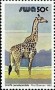 动物:非洲:西南非洲:swa198025.jpg