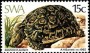 动物:非洲:西南非洲:swa198202.jpg