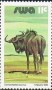 动物:非洲:西南非洲:swa198401.jpg