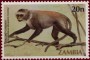 动物:非洲:赞比亚:zm198502.jpg