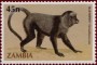 动物:非洲:赞比亚:zm198503.jpg