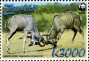 动物:非洲:赞比亚:zm200801.jpg