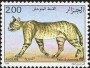 动物:非洲:阿尔及利亚:dz198603.jpg
