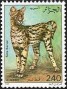 动物:非洲:阿尔及利亚:dz198604.jpg