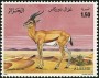 动物:非洲:阿尔及利亚:dz199205.jpg
