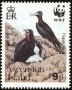 动物:非洲:阿森松岛:ac199001.jpg
