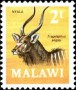 动物:非洲:马拉维:mw197102.jpg