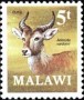 动物:非洲:马拉维:mw197104.jpg