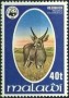 动物:非洲:马拉维:mw197804.jpg