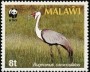 动物:非洲:马拉维:mw198701.jpg