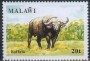 动物:非洲:马拉维:mw199101.jpg
