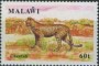 动物:非洲:马拉维:mw199102.jpg