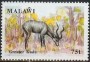 动物:非洲:马拉维:mw199103.jpg