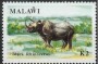 动物:非洲:马拉维:mw199104.jpg