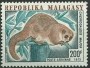 动物:非洲:马达加斯加:mg197304.jpg