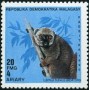 动物:非洲:马达加斯加:mg199002.jpg