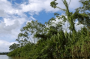 拉丁美洲和加勒比地区:哥伦比亚:洛斯卡蒂奥斯国家公园:20180524-110231.png