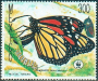 拉丁美洲和加勒比地区:墨西哥:帝王蝶生物圈保护区:20180522-091542.png
