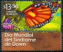 拉丁美洲和加勒比地区:墨西哥:帝王蝶生物圈保护区:20180522-091637.png