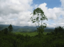 拉丁美洲和加勒比地区:洪都拉斯:雷奥普拉塔诺生物圈保护区:20180525-113807.png