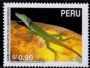 拉丁美洲和加勒比地区:秘鲁:玛努国家公园:20180522-124047.png
