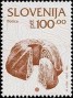 文物:欧洲:斯洛文尼亚:si199312.jpg