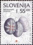 文物:欧洲:斯洛文尼亚:si199613.jpg