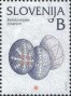 文物:欧洲:斯洛文尼亚:si200201.jpg