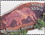 文物:非洲:南非:za200605.jpg