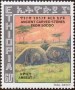 文物:非洲:埃塞俄比亚:et197904.jpg