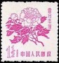 植物:亚洲:中国:cn195801.jpg
