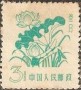 植物:亚洲:中国:cn195802.jpg