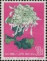 植物:亚洲:中国:cn196004.jpg
