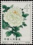 植物:亚洲:中国:cn196402.jpg