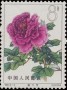 植物:亚洲:中国:cn196403.jpg