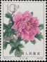 植物:亚洲:中国:cn196409.jpg